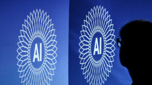 IA: des experts r&eacute;unis par l'ONU mettent en garde contre la rh&eacute;torique de la "peur"