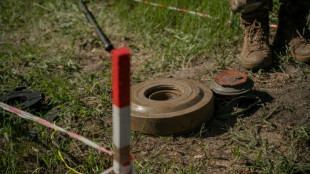 Demining Ukraine: from drones to risking it with a rake