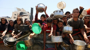 Gaza : chaos et tirs indiscrimin&eacute;s emp&ecirc;chent l'aide de parvenir aux plus vuln&eacute;rables