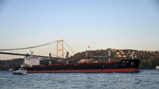 Seis buques cargados de granos salieron este jueves de los puertos ucranianos, seg&uacute;n Turqu&iacute;a