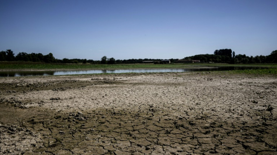La s&eacute;cheresse met &agrave; l'&eacute;preuve les pisciculteurs de la Dombes
