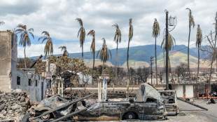 Trag&eacute;dia dos inc&ecirc;ndios no Hava&iacute; supera 100 mortes