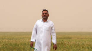 Iraq farmers turn to groundwater to boost desert yield