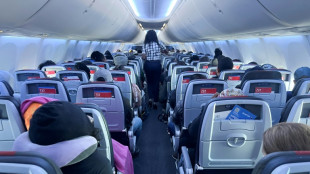 Record de passagers, rentabilité: les compagnies aériennes optimistes pour 2025