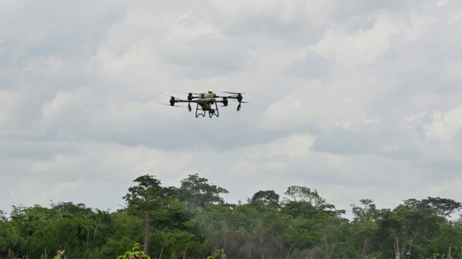 Ivory Coast farmers hope tech tempts jaded youth back to fields