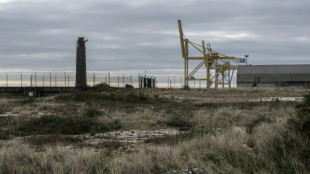 Feu vert &agrave; un projet contest&eacute; de m&eacute;gaferme terrestre &agrave; saumons