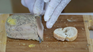 Le foie gras sera au rendez-vous des f&ecirc;tes, le secteur se rel&egrave;ve doucement de la grippe aviaire