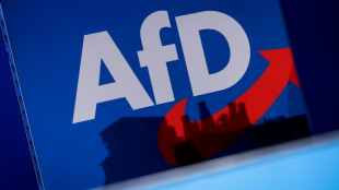 Debatte &uuml;ber AfD-Verbot geht weiter - Demonstrationen bundesweit