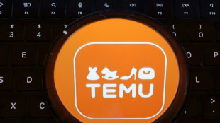 Experte r&auml;t zu Regulierung statt Verbot von Online-H&auml;ndler Temu