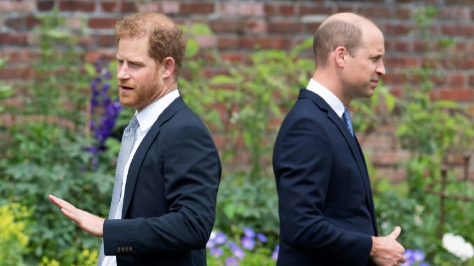 Enrique y Guillermo, la imposible reconciliaci&oacute;n de los pr&iacute;ncipes brit&aacute;nicos