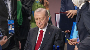 Erdogan, 'sosteniamo fermamente l'integrit&agrave; dell'Ucraina'