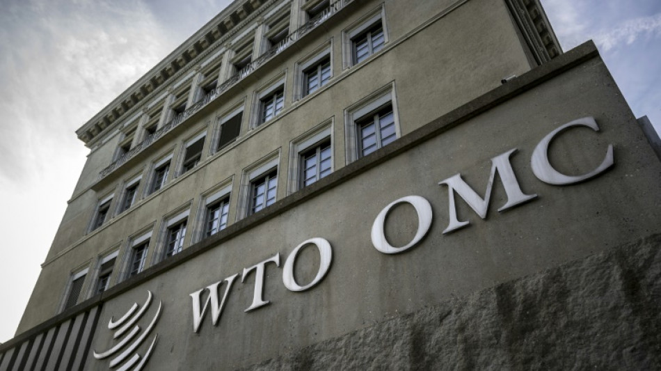 China presenta una queja ante la OMC por recargos de la UE a las importaciones de veh&iacute;culos el&eacute;ctricos chinos