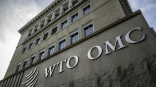 China presenta una queja ante la OMC por recargos de la UE a las importaciones de veh&iacute;culos el&eacute;ctricos chinos