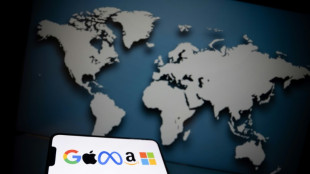 Netflix et Gafam concentrent pr&egrave;s de la moiti&eacute; du trafic internet fran&ccedil;ais