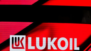 Kreise: Berlin und Paris sind f&uuml;r Sanktionen gegen russischen &Ouml;lriesen Lukoil