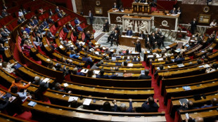 Loi simplification : l'Assembl&eacute;e r&eacute;tablit un "test PME" diff&eacute;rent de la version gouvernementale 