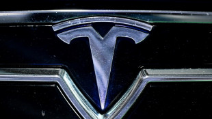 Las ventas de Tesla en la UE se reducen a la mitad en abril