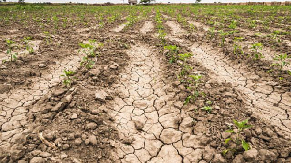 Siccità in aumento nel mondo da 121 anni, impennata dal 2018