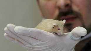 Se si dorme male in un letto nuovo, il segreto &egrave; in un gruppo di neuroni