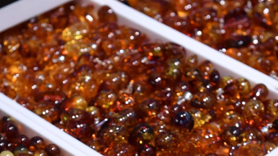 Nell'ambra tracce di antichi tsunami di 115 milioni di anni fa