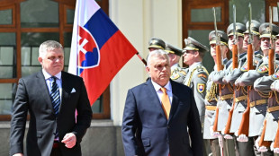 Orban und Fico sprechen sich gegen Abschaffung von EU-Vetoregelung aus