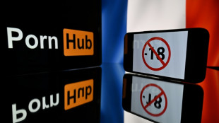 Big-name porn sites back online in France after age check row