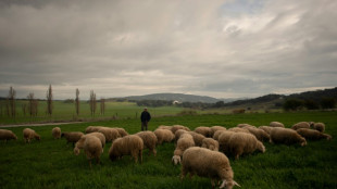Las amenazas para la econom&iacute;a mundial de la guerra en Ucrania
