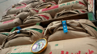 Jap&oacute;n subasta arroz de sus reservas de emergencia ante el aumento de precios