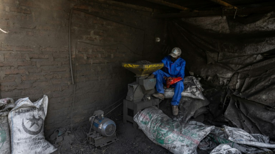 Au Tchad, les premiers pas de la fili&egrave;re d'un pr&eacute;tendu "charbon &eacute;cologique"