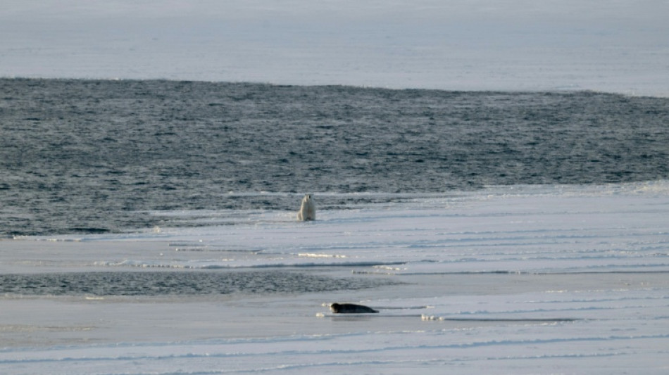 2025 a &eacute;t&eacute; l'ann&eacute;e la plus chaude jamais enregistr&eacute;e en Norv&egrave;ge