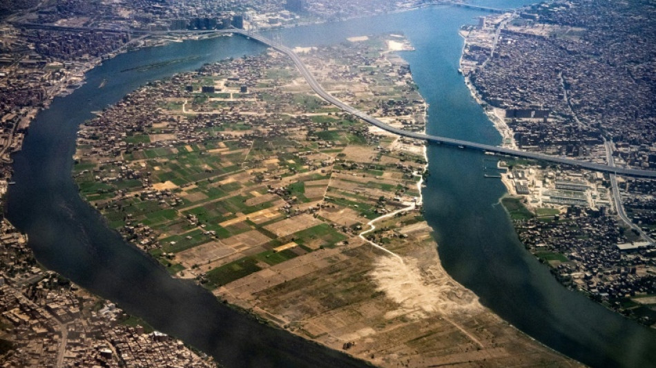 Au Caire, une &icirc;le vent debout contre sa transformation en "Manhattan"