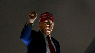 'Hang tough, it won't be easy': Trump defiant on tariffs