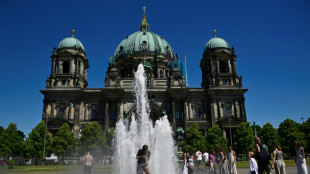 L'Allemagne sue sous la canicule qui a essoré l'Europe