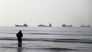 Media, 1.100 marittimi evacuati dall'Onu a Hormuz