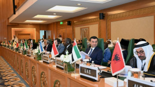 Muslim nations endorse alternative to Trump's Gaza takeover plan