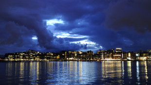 Norwegischer Staatsfonds mit ordentlicher Rendite - w&auml;hrungsbedingter Wertverlust