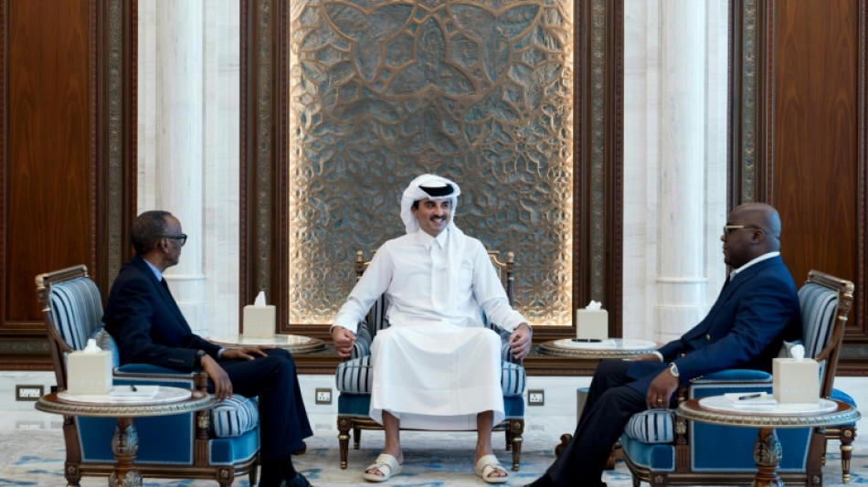 Est de la RDC: rencontre surprise Tshisekedi-Kagame &agrave; Doha, un cessez-le feu &eacute;voqu&eacute;