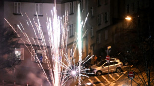 Allemagne : cinq morts lors du Nouvel An, 400 interpellations &agrave; Berlin