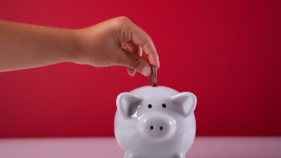 Calidi Biotherapeutics and Nova Minerals Interviews to Air on the RedChip Small Stocks, Big Money(TM) Show on Bloomberg TV